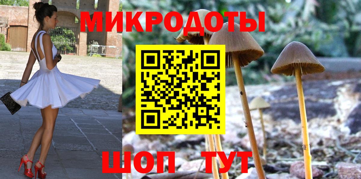 Псилоцибиновые грибы Psilocybe  Вход с VPN  Солнечногорск  Псилоцибиновые грибы ЛСД 